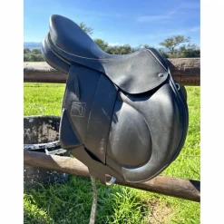 Childeric Selles De Cross><noscript><img width=