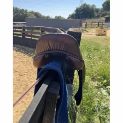 Jean-Luc Maurel Selles De Dressage><noscript><img width=