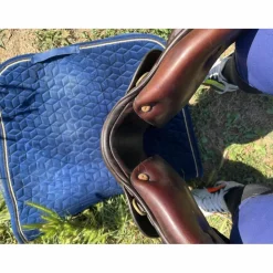 Jean-Luc Maurel Selles De Dressage><noscript><img width=