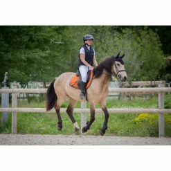 airbag equithème*Equitheme Sale