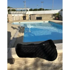 - Marque inconnue - Amortisseurs>Amortisseur noir RW