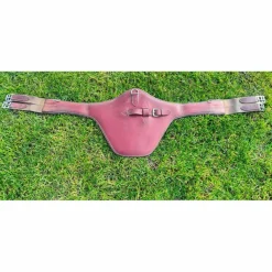 Antares Selles Mixtes><noscript><img width=