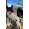 Bonnet bordeaux*- Marque inconnue -