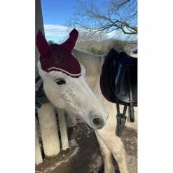 Bonnet bordeaux*- Marque inconnue -