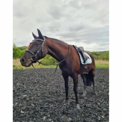Equito Bonnets>Bonnet Morning sky