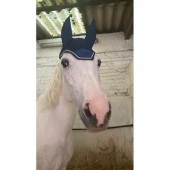 Bonnet*Kentucky Online