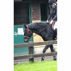 Bonnet long noir Anti-bruit Gerald*Equiline Best