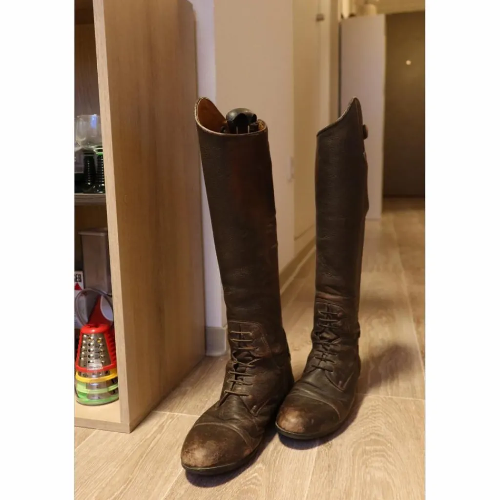 Equitheme Bottes>Bottes marron