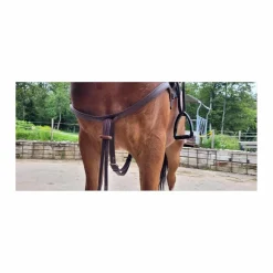 Bricolle-Martingale*Norton Online