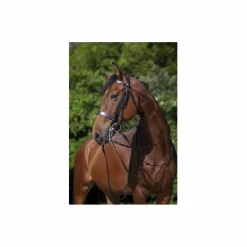 bride*Riding World Best