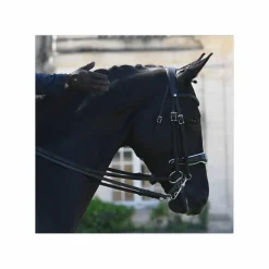 Antares Brides>Bride