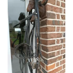 Bride cheval*- Marque inconnue - Online