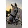 Bride impérial riding*Imperial riding Hot