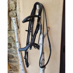 Bridon anatomique Stationata*- Marque inconnue - Online