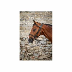 Dy'on Bridons - Filets><noscript><img width=