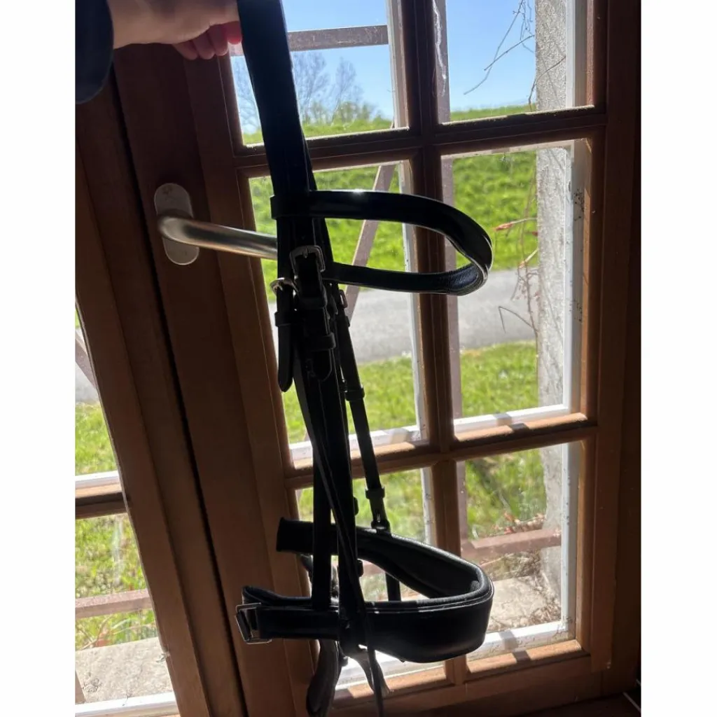 Norton Bridons - Filets>Bridon Dressage Noir taille COB