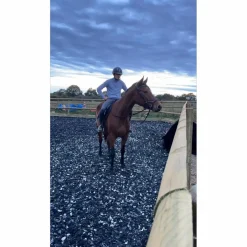 Jump'In Bridons - Filets>Bridon jumpin
