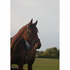 Jump'In Bridons - Filets><noscript><img width=