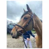 Jump'In Bridons - Filets>Bridon Jump’in - Wednesday