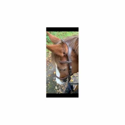 Jump'In Bridons - Filets><noscript><img width=