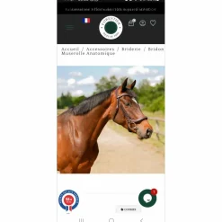 Bridon muserolle anatomique Châtaigne*Forestier Hot