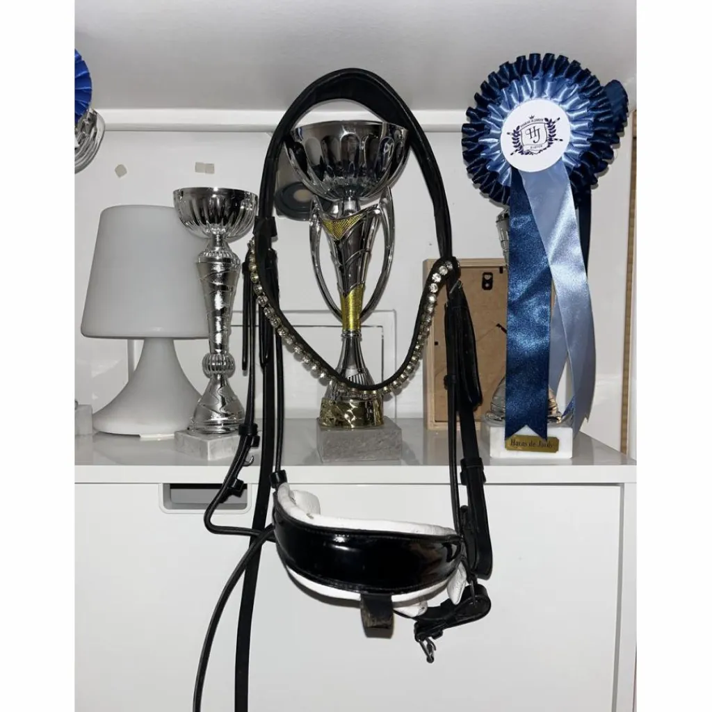 Bridon Pro Bella*Norton Hot