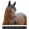 Bridon One New-York noisette*Jump'In New