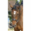 Bridons - Filets>Bridon SD Design dressage marron