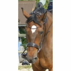 Bridons - Filets>Bridon SD Design dressage marron