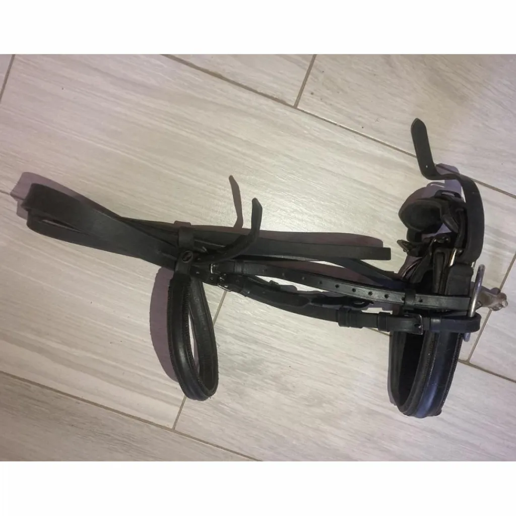 Bridon complet*Time Rider Sale