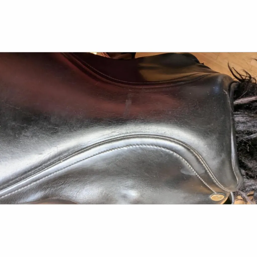 Busse Hafnir Selle de Tölt*- Marque inconnue - Hot