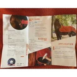 Akhal Soin Du Cheval><noscript><img width=