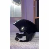 Casque*Naca
