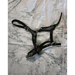 Caveçon poney*- Marque inconnue - Discount