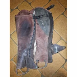 Chaps dyon*Dy'on