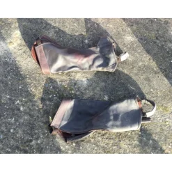 Chaps*Equitheme Sale