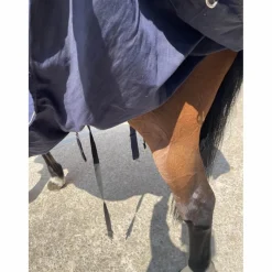 chemise peu utilisée (2 mois) très bon état taille 7 (165 cm)*Equitheme Discount