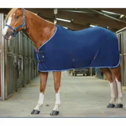 Chemise polaire*- Marque inconnue - Outlet