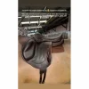 chirberta Lab 17pouces*Devoucoux Clearance