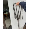 Time Rider Colliers De Chasse>Colier de chasse + martingale