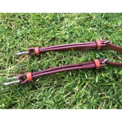 Collier de chase + Martingale*- Marque inconnue - New