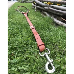 Collier de chase + Martingale*- Marque inconnue - New