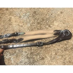 Protanner Colliers De Chasse><noscript><img width=