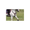 Collier de chasse*CSO Outlet