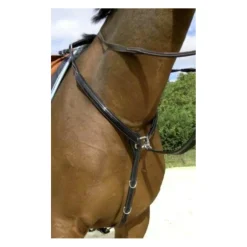 Collier de chasse*Protanner Outlet