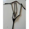 Collier de chasse*Time Rider