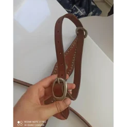 - Marque inconnue - Colliers De Chasse>Collier de chasse