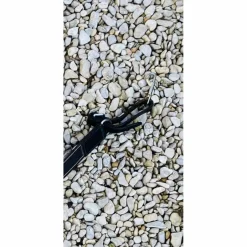 Collier de chasse*HFI New