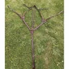 Time Rider Colliers De Chasse>Collier de chasse