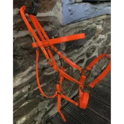 - Marque inconnue - Colliers De Chasse>Collier de chasse + bridon BIOTHANE
